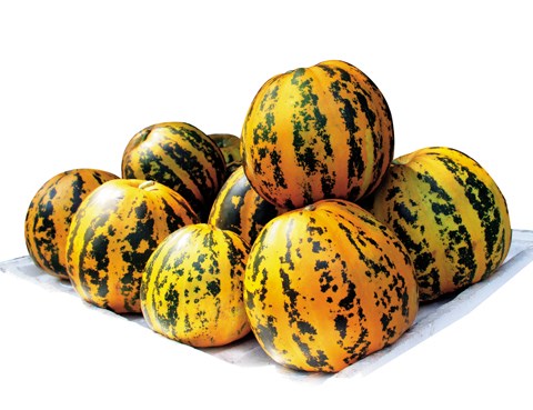 dưa trị mụn 