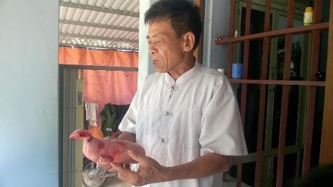 Mô tả ảnh.