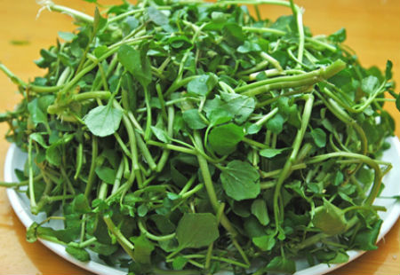 rau cải xoong chữa bệnh