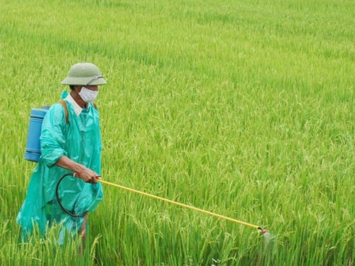 Mô tả ảnh.