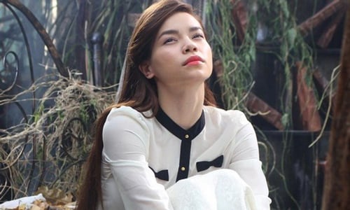 ho ngoc ha va chu dang khoa 1