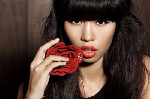 ha anh