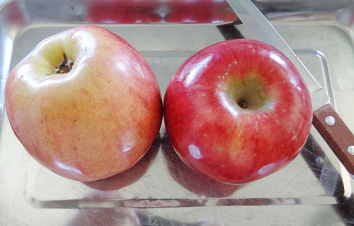 tao