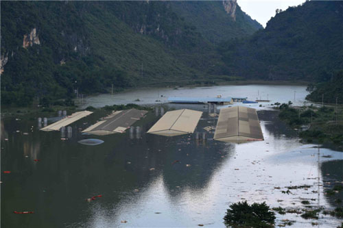 Mô tả ảnh.