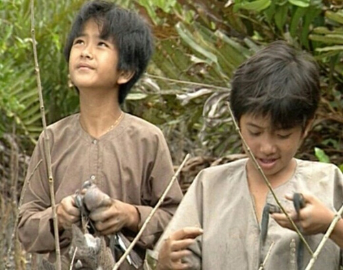 cò đất phương nam 3