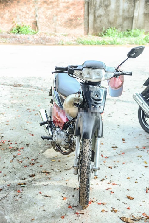 bé an đất phương nam 3