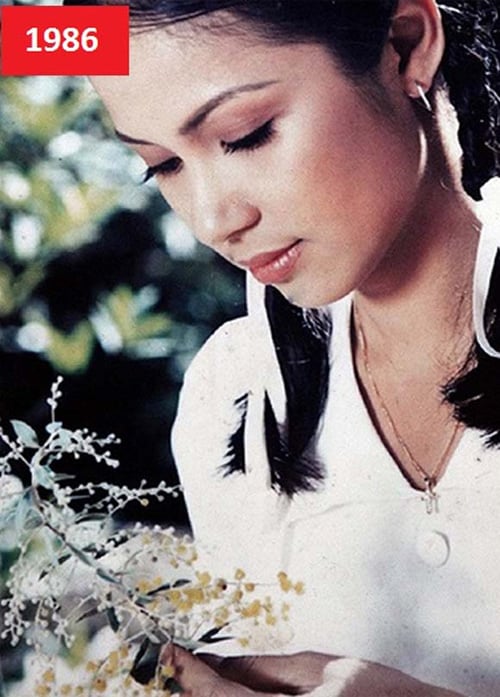 viet trinh1