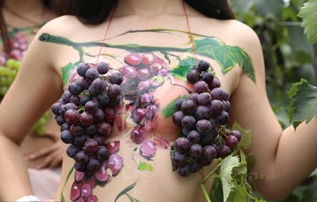 Mô tả ảnh.