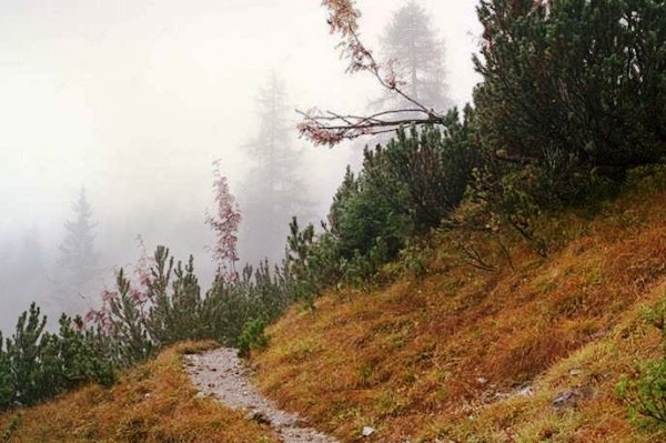 nguy-trang-phunutoday-vn