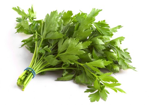 Mô tả ảnh.