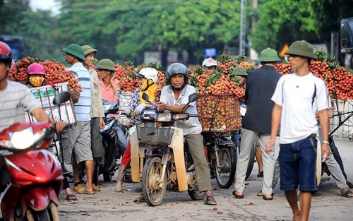 Mô tả ảnh.