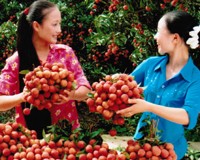 Mô tả ảnh.