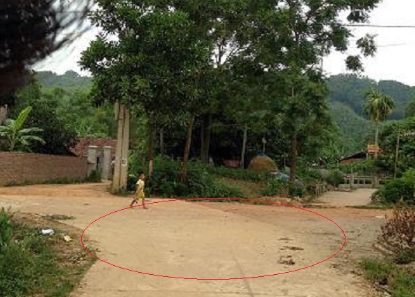 Mô tả ảnh.