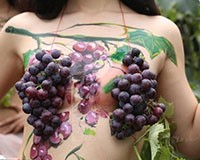 Mô tả ảnh.