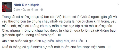dinh manh ninh