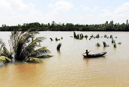sutlo-phunutoday-vn
