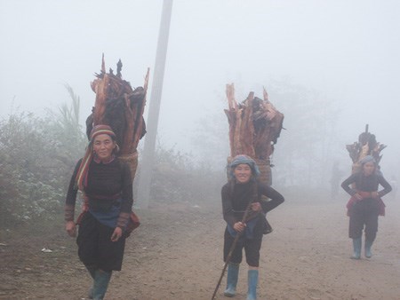 Mô tả ảnh.