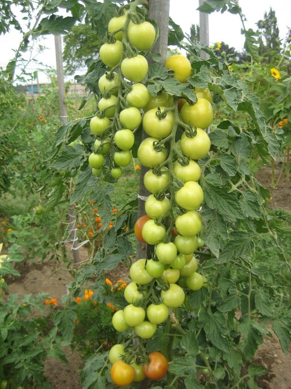 me