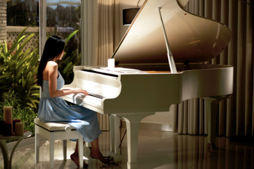 biệt thự triệu đô thủy tiên 1