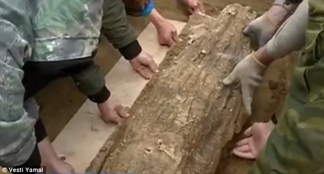 Mô tả ảnh.