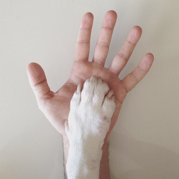 Mô tả ảnh.