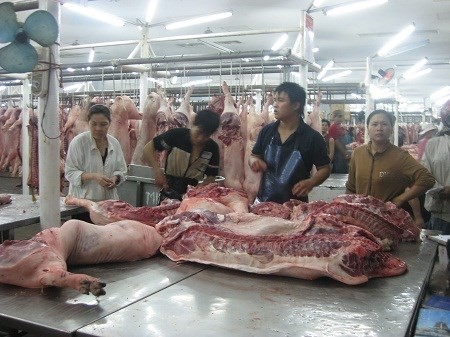thịt heo tiêm thuốc an thần