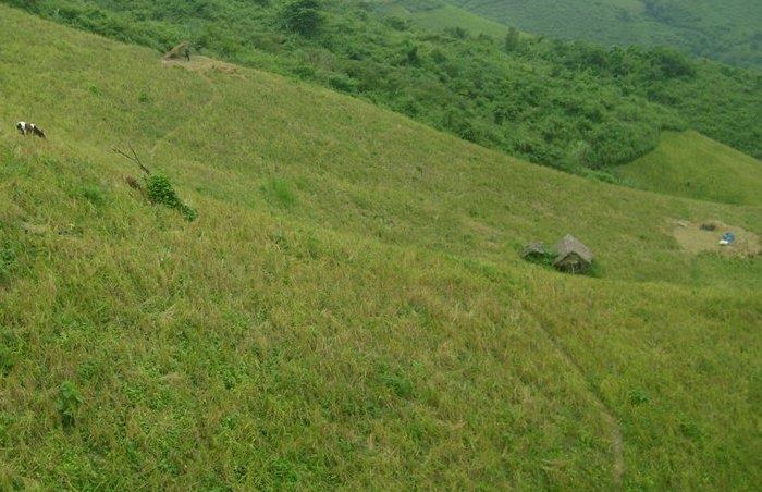 Mô tả ảnh.