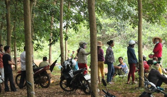Mô tả ảnh.