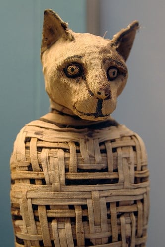 Mô tả ảnh.
