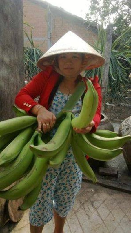 Mô tả ảnh.