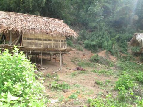 nghe-an-phunutoday-vn