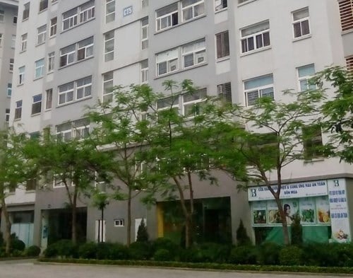 Mô tả ảnh.