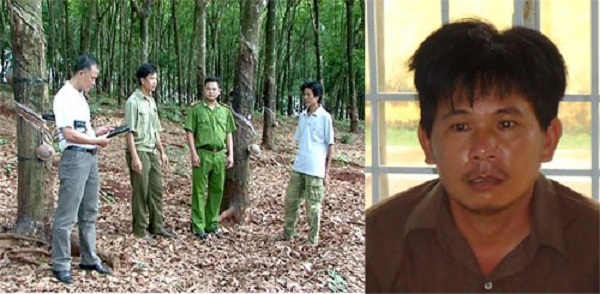 Mô tả ảnh.