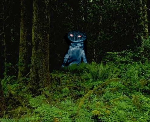 Mô tả ảnh.