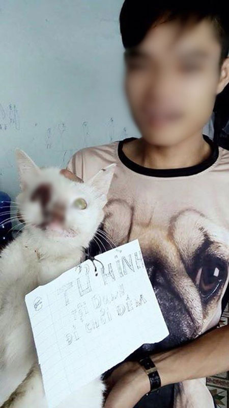 Mô tả ảnh.