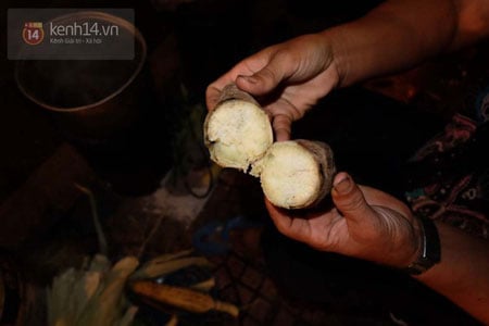 Mô tả ảnh.