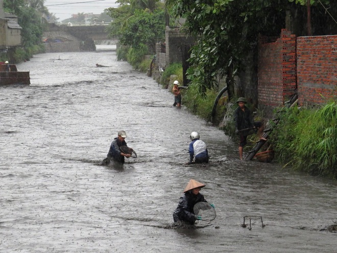 quang-ninh-phunutoday-vn