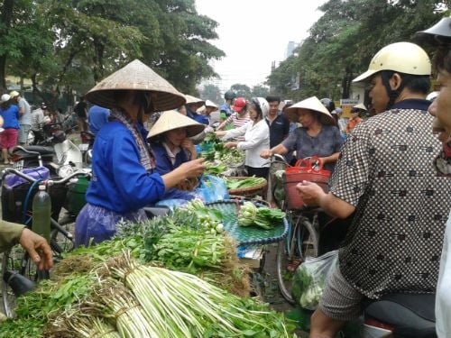 Mô tả ảnh.