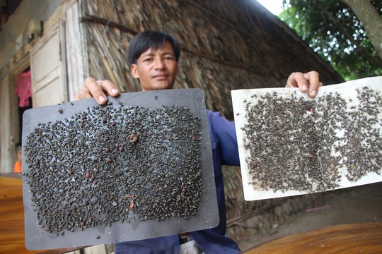 Mô tả ảnh.