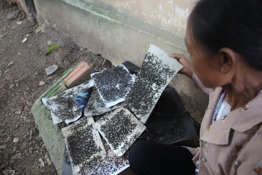 Mô tả ảnh.