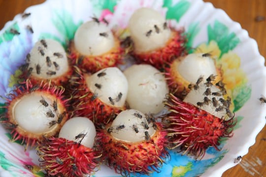 Mô tả ảnh.