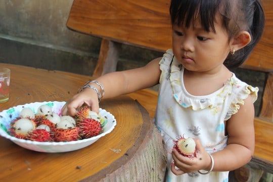 Mô tả ảnh.