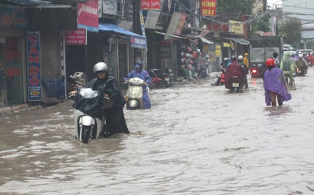 Mô tả ảnh.
