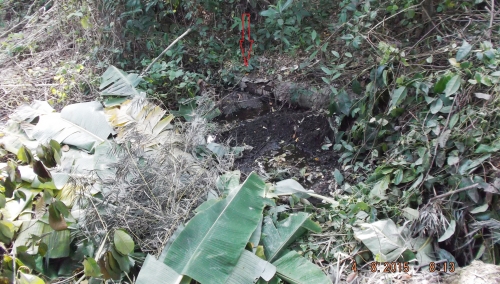 Mô tả ảnh.