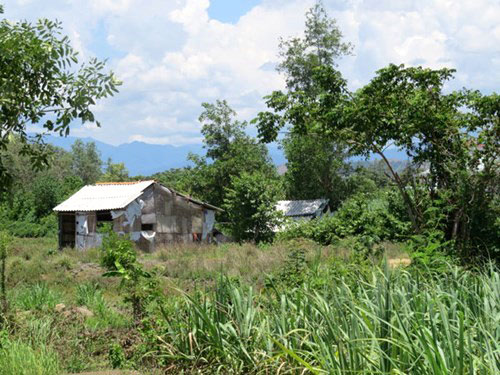 Mô tả ảnh.