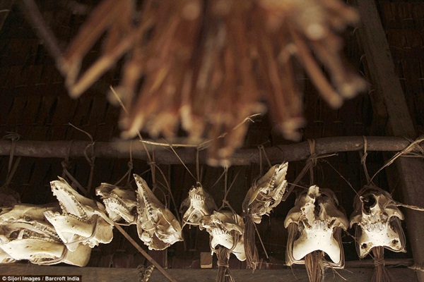 Mô tả ảnh.