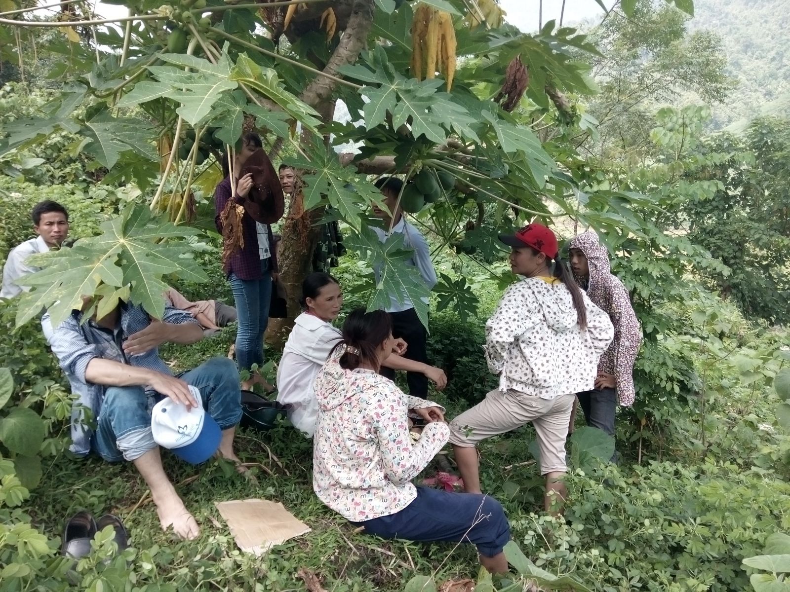 Mô tả ảnh.