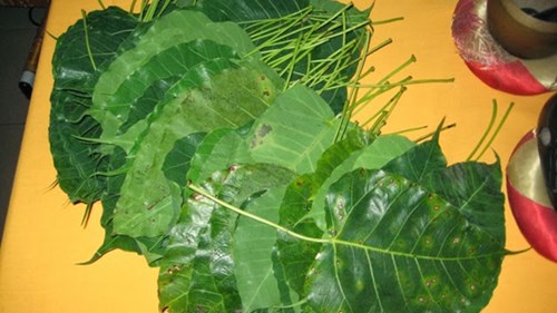 Mô tả ảnh.