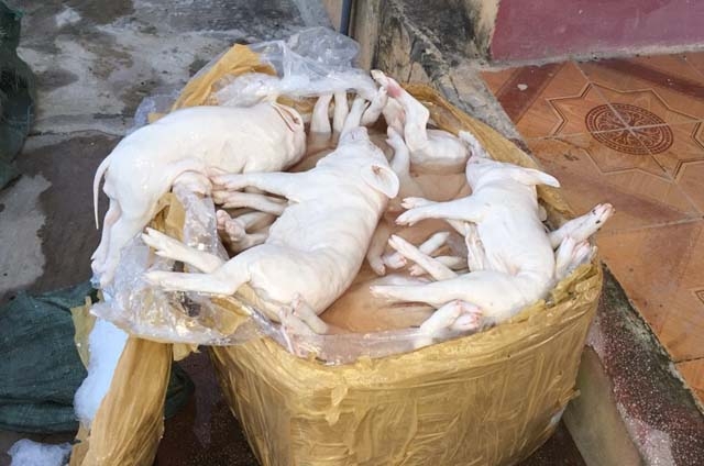 Mô tả ảnh.