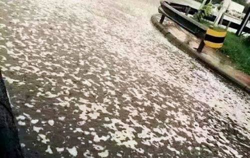 Mô tả ảnh.